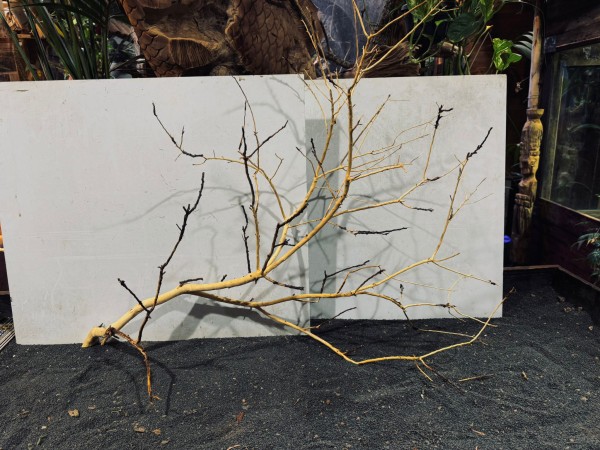 Manzanita XXL 11 ca. B90xH69 cm