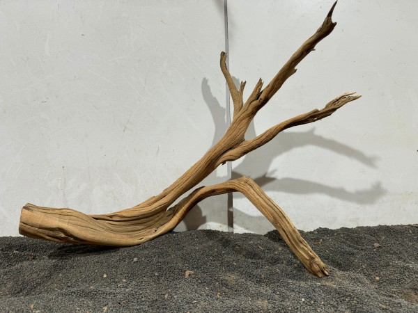 G2 Ghostwood ca B53xH40 cm