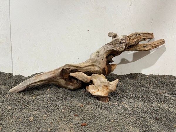 Ghost Driftwood 17 B40xH15 cm
