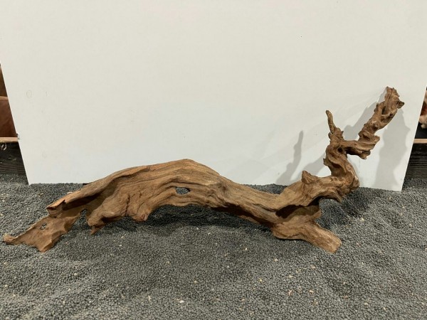 Mekong Driftwood X14 ca. 62cm