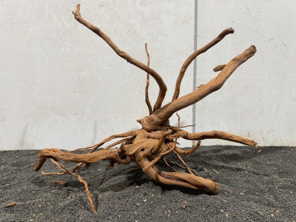 SW24 Spiderwood B43xH34 cm