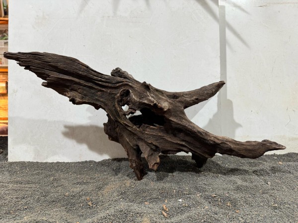 Mekong Driftwood 16 ca. B69xH34cm