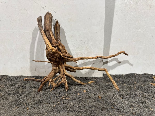 SJ8 Spiderwood Jungle ca B39xH28 cm