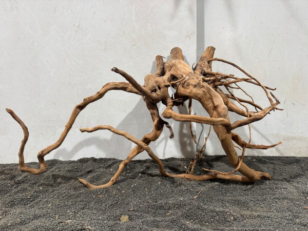 SW5 Spiderwood B57xH33 cm