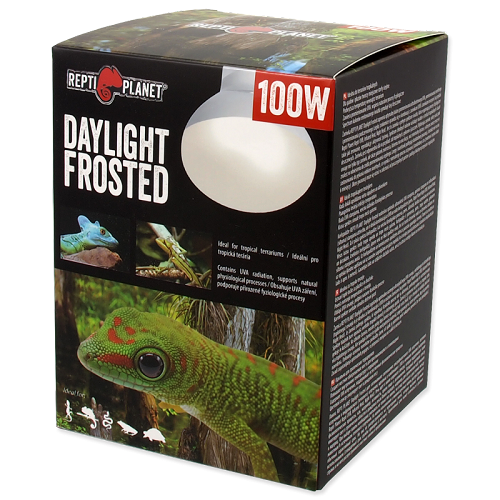 Daylight Frosted Wärmespot 100W
