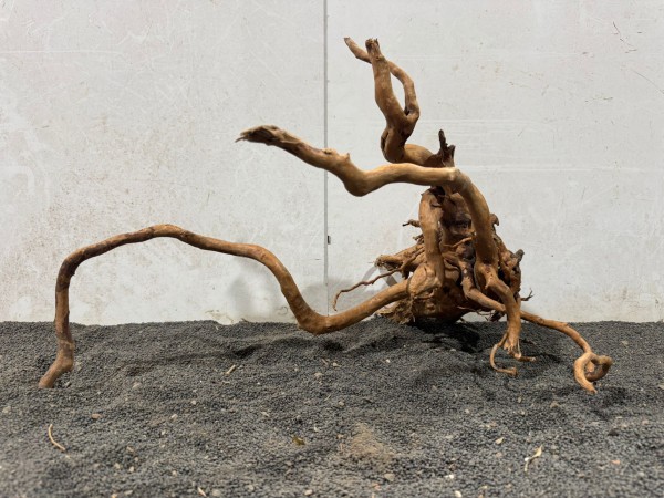 SW39 Spiderwood B52xH33 cm