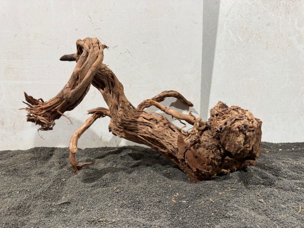 DS8 Dragon Skin Wood ca. B48xH31 cm Wurzel