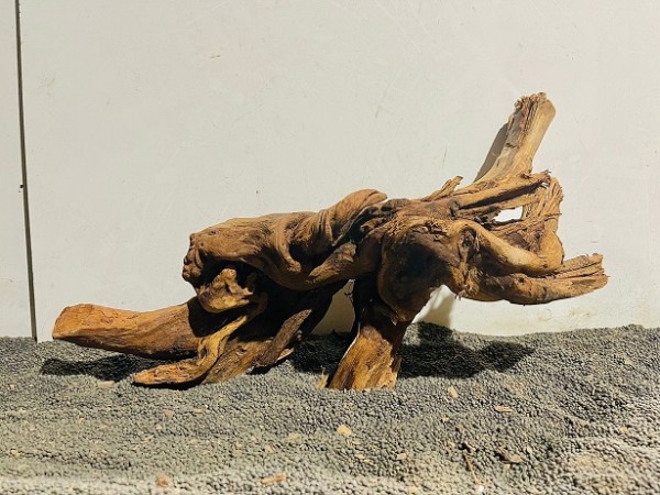 Red Driftwood R6 B41xH23 cm