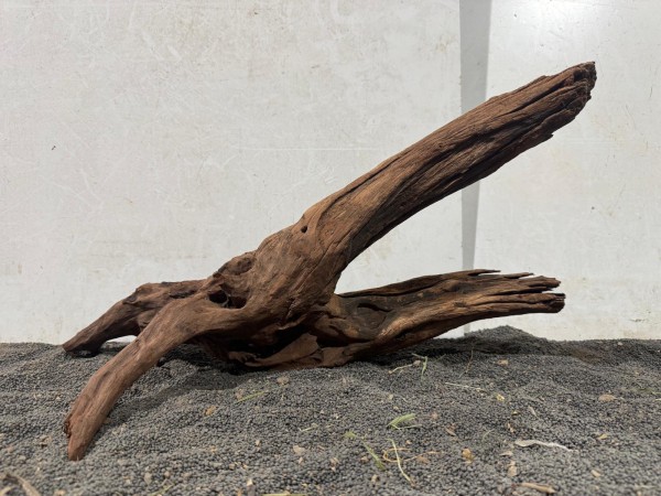 Mekong Driftwood X23 ca. B51xH29 cm
