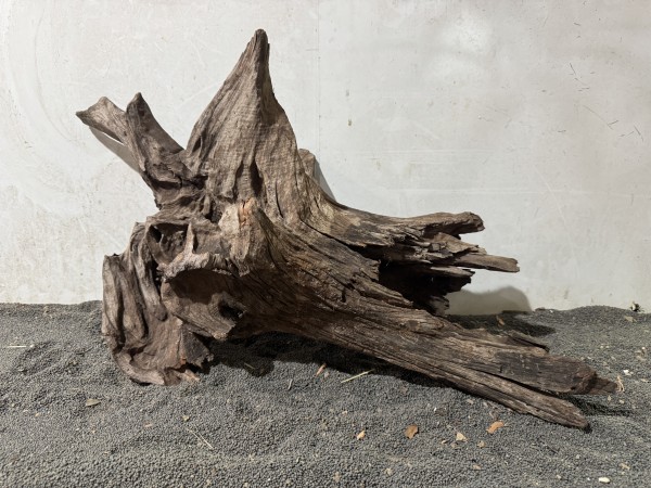 Mekong Driftwood X13 ca. B68xH41cm