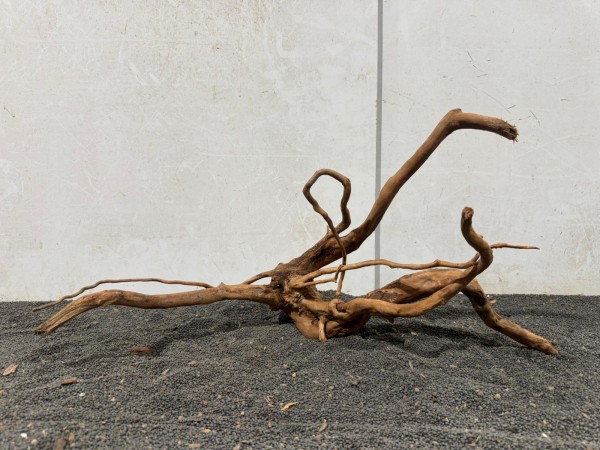 SW 15 Spiderwood ca B57xH28 cm