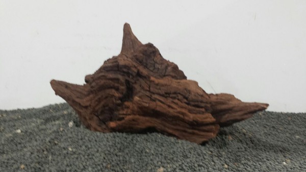 N17 Mekong Driftwood Nano Wurzel 20x11cm