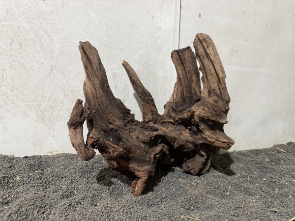 Mekong Driftwood 10 ca. B27xH25 cm