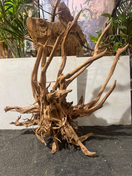 Stumpwood 8 ca B82xH83 cm