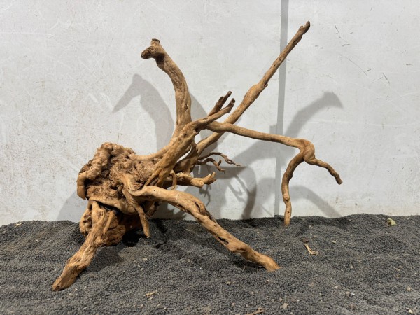 SW40 Spiderwood B46xH38 cm