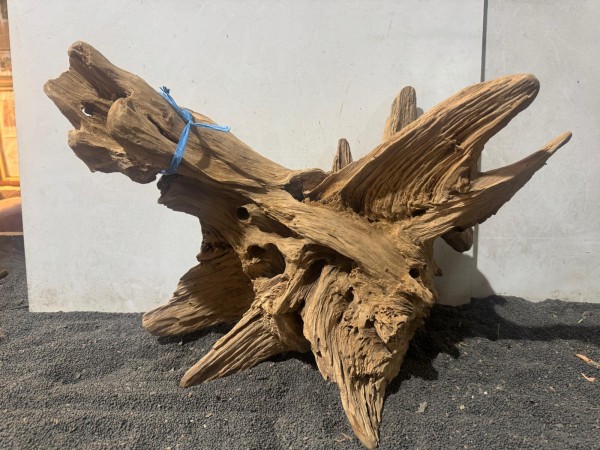 Teakholz XL8 ca B50H36 cm