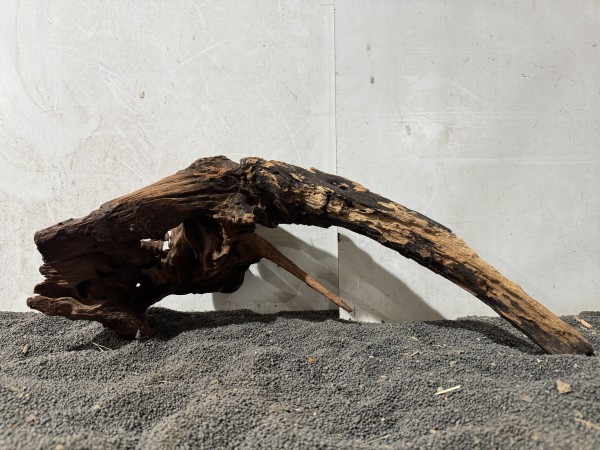 Red Driftwood R23 ca B53xH20 cm