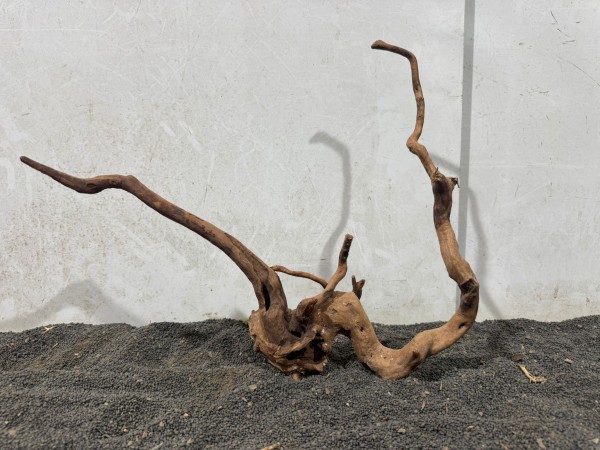 SW54 Spiderwood B41xH33 cm