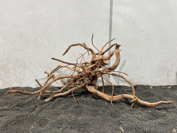 SW33 Spiderwood B55xH29 cm