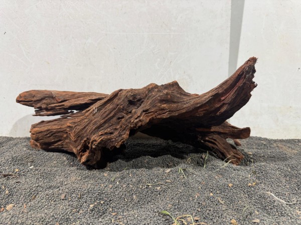 Mekong Driftwood 16 ca. B42xH20 cm