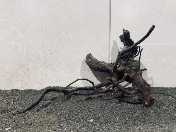 B13 Black Spiderwood B46xH27 cm