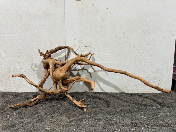 SW2 Spiderwood ca. B78xH31 cm