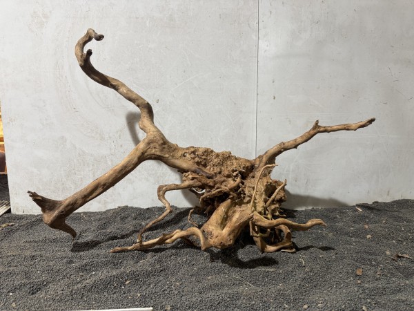 SW 4 Spiderwood ca B66xH44 cm