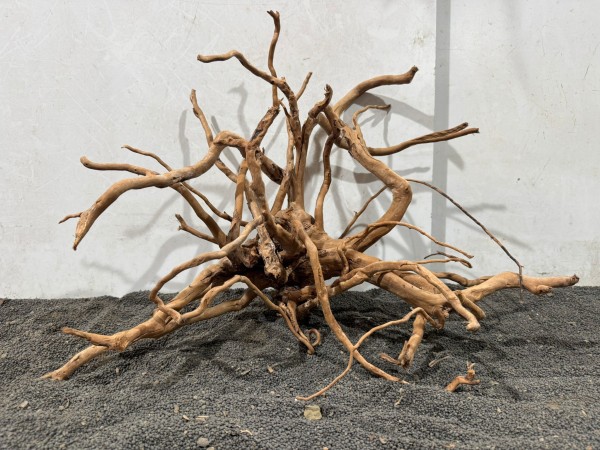 SW48 Spiderwood B52xH38 cm