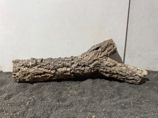 Kork K2 ca. 59x20 cm