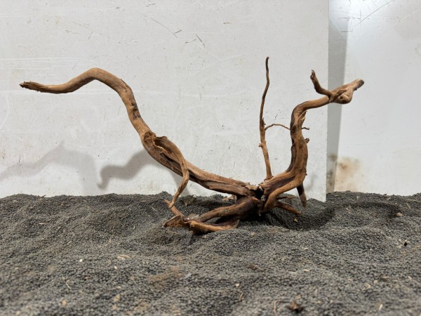 SW18 Spiderwood B46xH23 cm