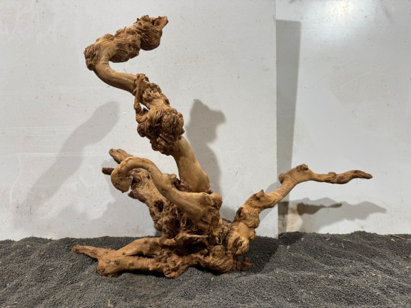 SW23 Spiderwood B60xH45 cm