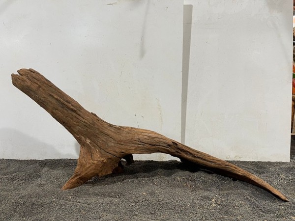 Mekong Driftwood X21 ca. B72xH33 cm